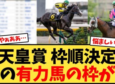 【天皇賞秋】秋天の枠順決定、あの有力馬の枠が…【競馬反応集】