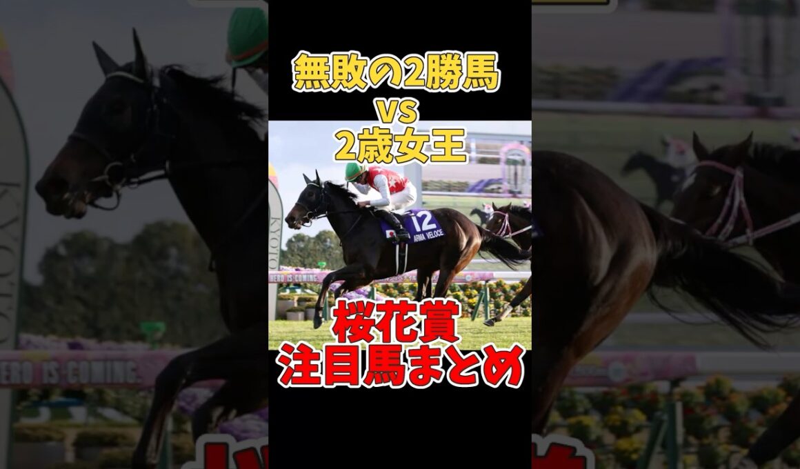 【競馬】「無敗の2勝馬vs阪神JF女王」桜花賞出走注目馬！#桜花賞2025 #桜花賞 #エリカエクスプレス #アルマヴェローチェ #無敗馬 #阪神JF #注目馬 #競馬 #3歳牝馬クラシック