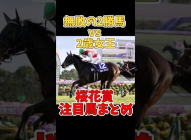 【競馬】「無敗の2勝馬vs阪神JF女王」桜花賞出走注目馬！#桜花賞2025 #桜花賞 #エリカエクスプレス #アルマヴェローチェ #無敗馬 #阪神JF #注目馬 #競馬 #3歳牝馬クラシック
