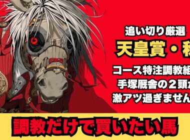 【天皇賞・秋/調教だけで買いたい馬】コース特注該当３頭と手塚厩舎が熱すぎる/ソールオリエンス復活への起爆剤はまさかの坂路追い切り11-11加速ラップ!?【追い切り】#天皇賞秋 #追い切り