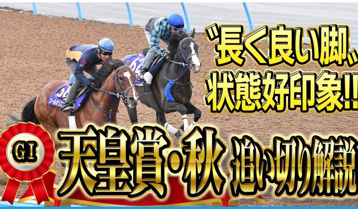 【天皇賞・秋２０２５】マスカレードボールより手応えアリ！？各出走馬の追い切りを東西記者が徹底解説！《東スポ競馬》