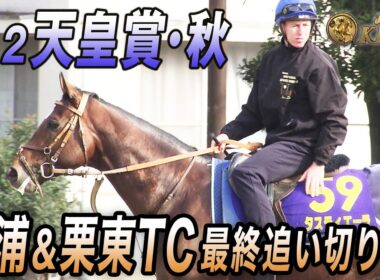 【2025 天皇賞（秋）・GⅠ】最終追い切り