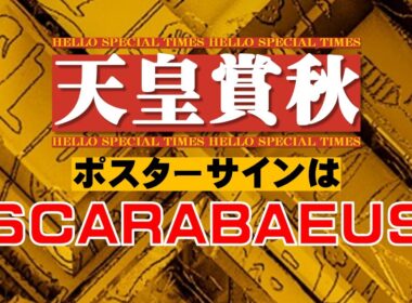 天皇賞秋2025【ポスターサイン解読】
