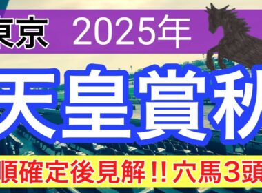 【天皇賞秋2025】蓮の競馬予想(枠順確定後の見解と穴馬3頭)