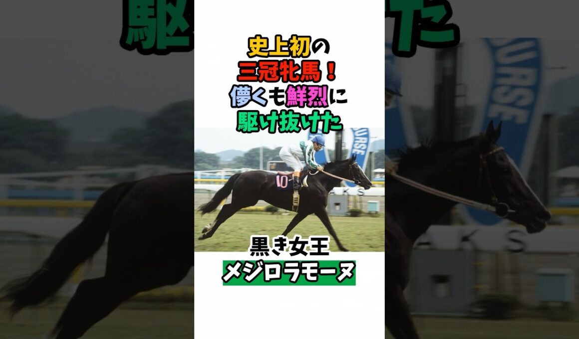 史上初の三冠牝馬！儚くも鮮烈に駆け抜けた黒き女王メジロラモーヌ#競馬 #horse