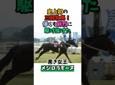 史上初の三冠牝馬！儚くも鮮烈に駆け抜けた黒き女王メジロラモーヌ#競馬 #horse