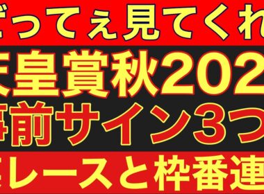 【天皇賞秋2025】の事前サイン3つ！某レースと枠番結果が連動中！#競馬 #天皇賞秋2025