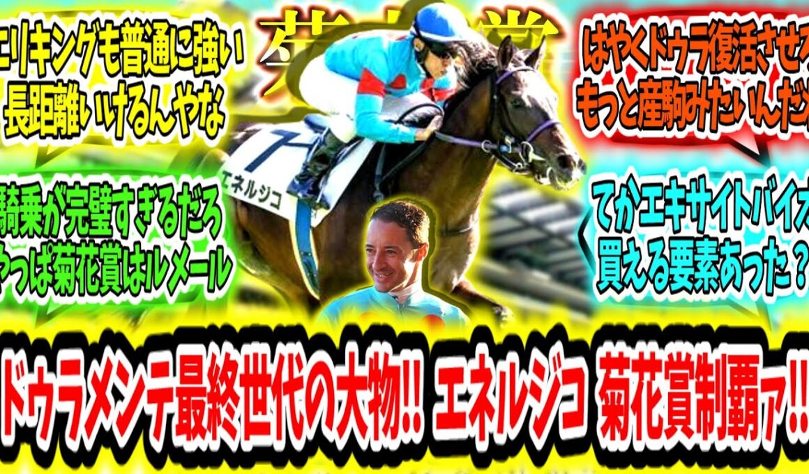 『ドゥラメンテ最終世代の大物‼ エネルジコ 菊花賞制覇ァ‼』に対するみんなの反応【競馬の反応集】