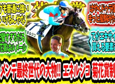 『ドゥラメンテ最終世代の大物‼ エネルジコ 菊花賞制覇ァ‼』に対するみんなの反応【競馬の反応集】