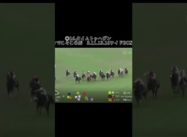 マイルチャンピオンシップの結果です！後ろから強襲は！？ #競馬 #競馬結果 #マイルcs #京都競馬 #マイルチャンピオンシップ