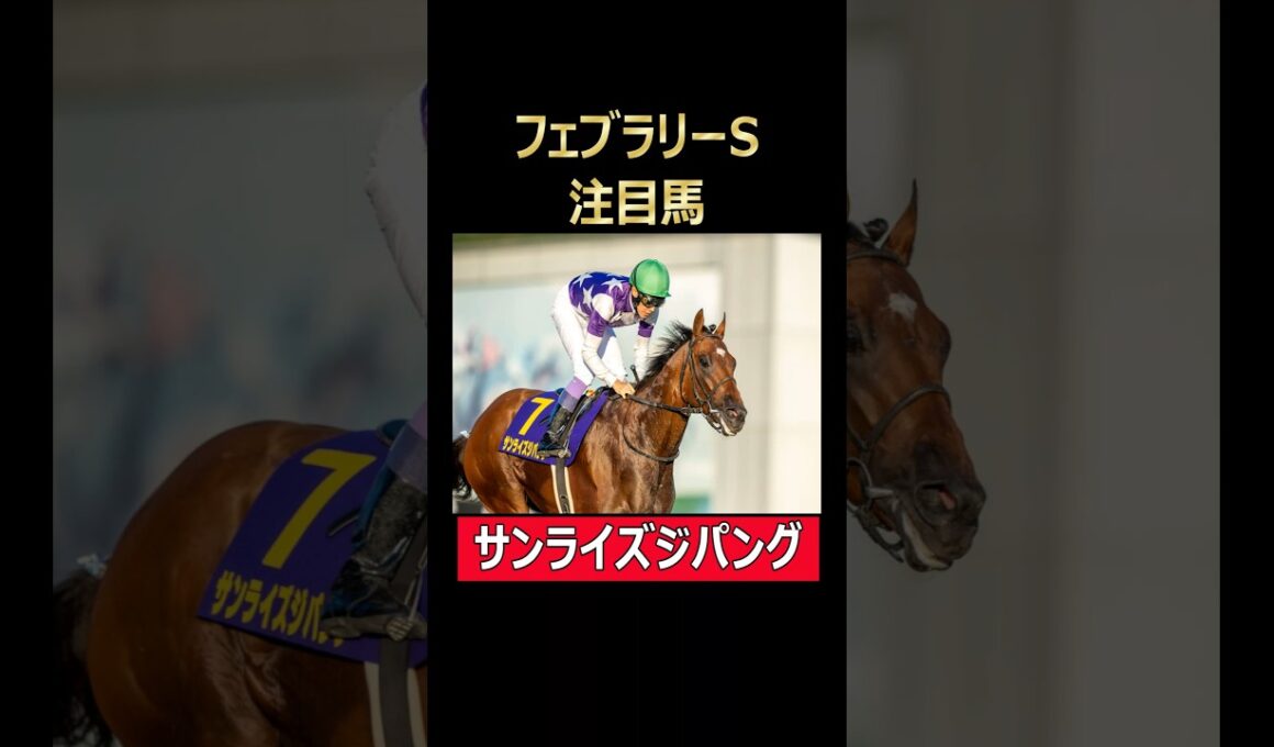 フェブラリーS注目馬 サンライズジパング！ #フェブラリーステークス #東京競馬場 #サンライズジパング