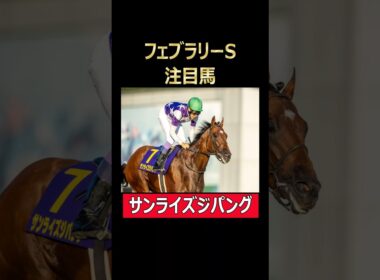 フェブラリーS注目馬 サンライズジパング！ #フェブラリーステークス #東京競馬場 #サンライズジパング