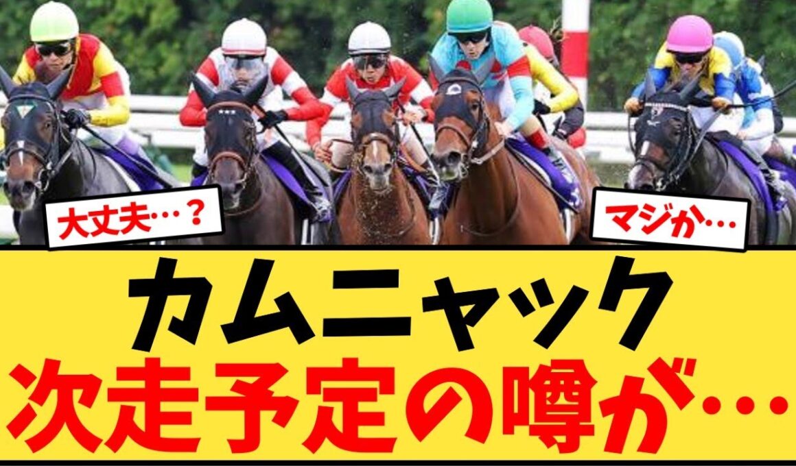 カムニャック、次走予定の噂が…【競馬反応集】