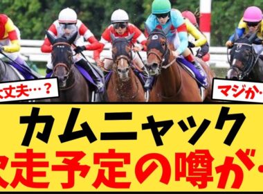 カムニャック、次走予定の噂が…【競馬反応集】