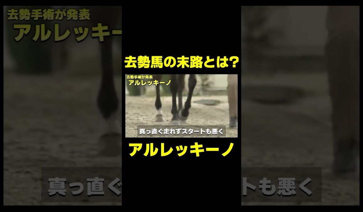 去勢された馬のパイオニア　#競馬 #競馬予想 #大阪杯 #ドバイワールドカップ #クロワデュノール