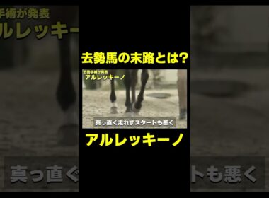 去勢された馬のパイオニア　#競馬 #競馬予想 #大阪杯 #ドバイワールドカップ #クロワデュノール