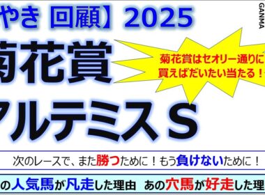 【ぼやき回顧】菊花賞＆アルテミスステークス＜2025＞