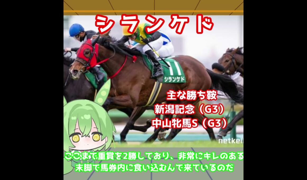 【天皇賞秋出走馬紹介】シランケド　菊花賞馬に勝った末脚！東京の直線で男馬をまとめて撫で切る！【天皇賞秋2025】#競馬 #ずんだもん #shorts