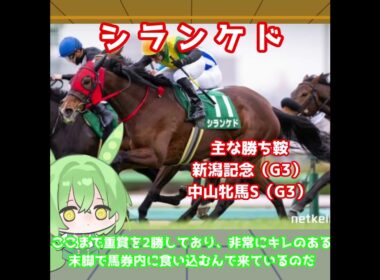 【天皇賞秋出走馬紹介】シランケド　菊花賞馬に勝った末脚！東京の直線で男馬をまとめて撫で切る！【天皇賞秋2025】#競馬 #ずんだもん #shorts