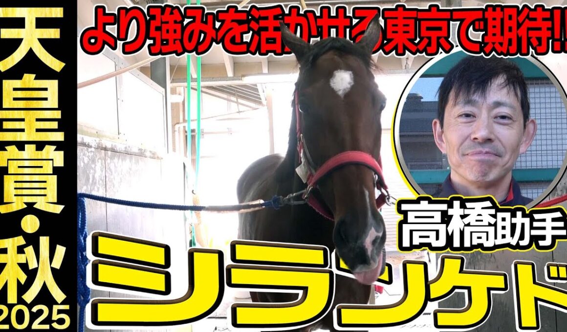 【天皇賞・秋2025】シランケド・高橋助手「正直ここまで来るとは」「東京は強みを活かせるコース」《JRA共同会見》