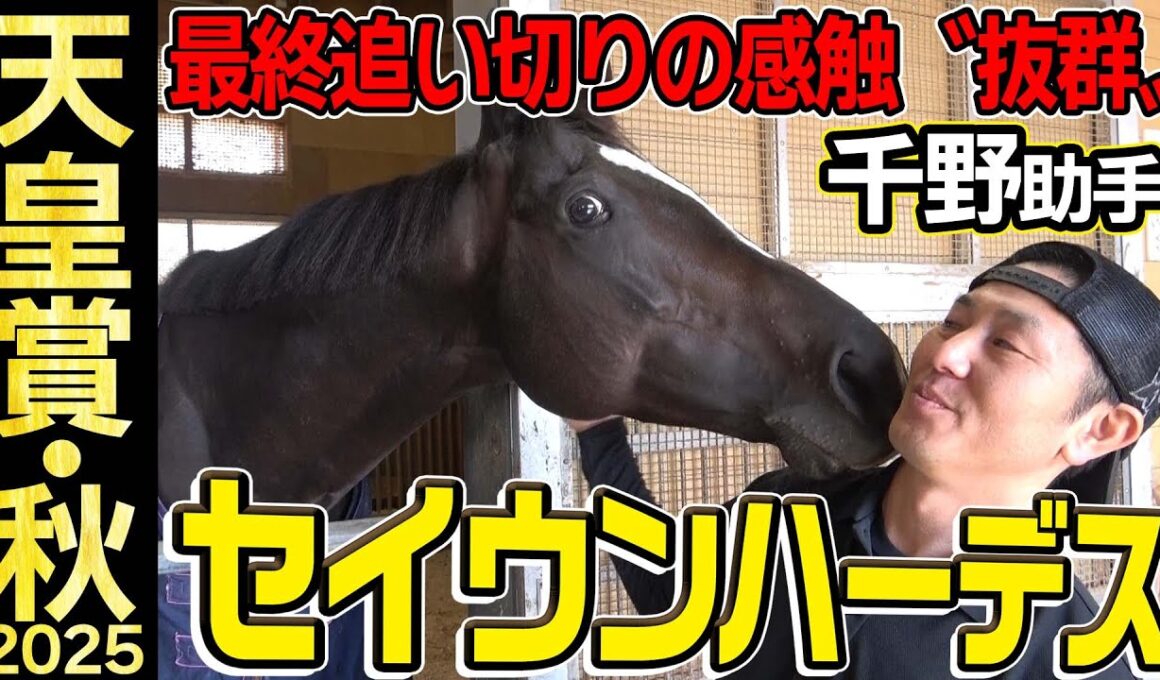 【天皇賞・秋2025】セイウンハーデス・千野助手「最終追い切りは抜群」「何より一番強いのはスタート」《JRA共同会見》