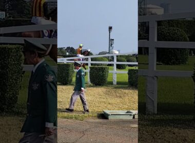 お馬さんにもスクーリングは大事@中山グランドジャンプの大生垣