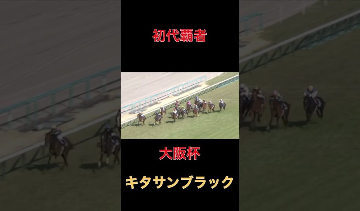 初代覇者キタサンブラック【大阪杯】#競馬#予想#馬券