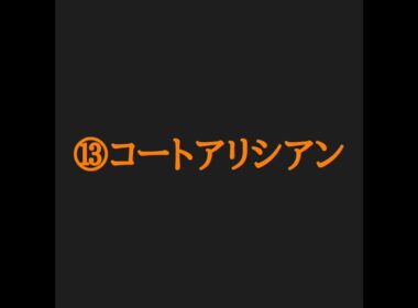 阪神ジュベナイルフィリーズ2024