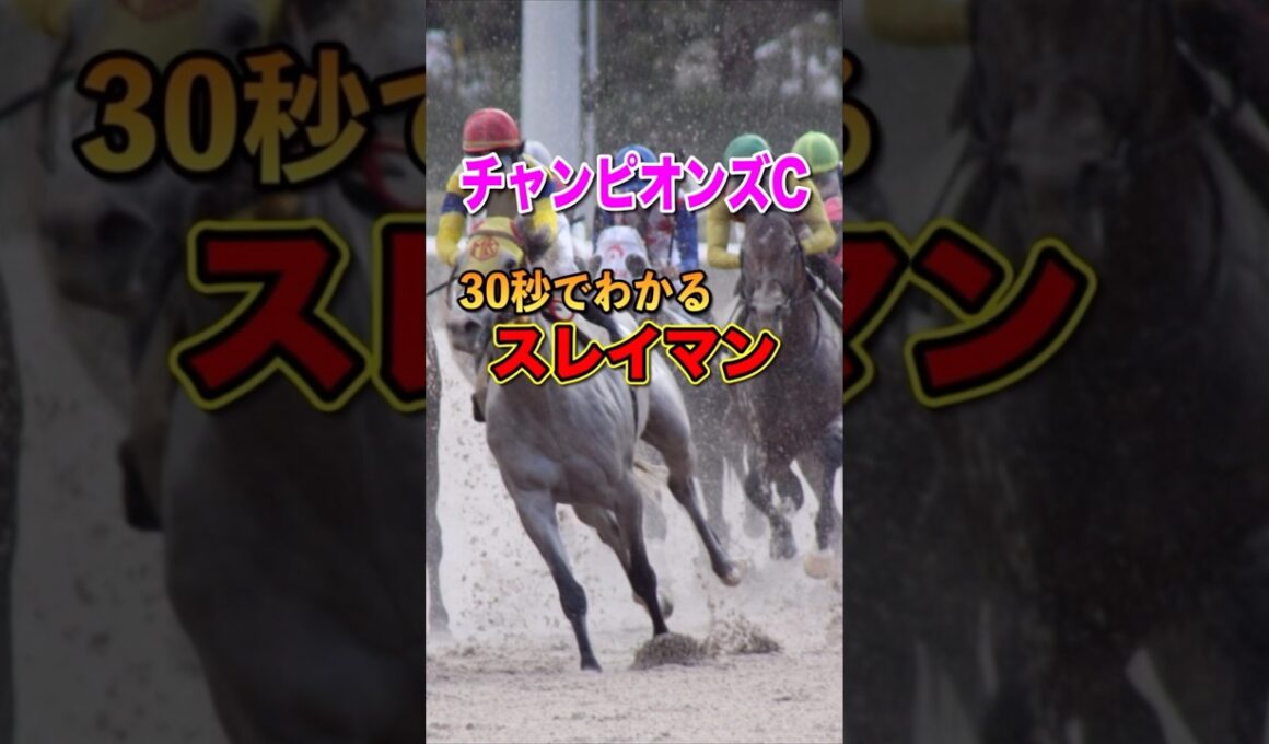 【チャンピオンズC2024】30秒でわかるスレイマン
