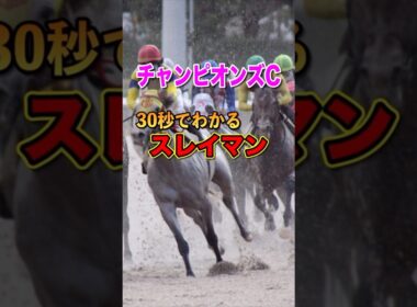 【チャンピオンズC2024】30秒でわかるスレイマン