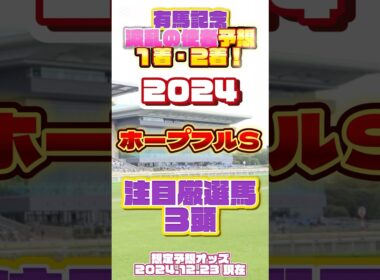 2024 ホープフルＳ 注目厳選馬３頭