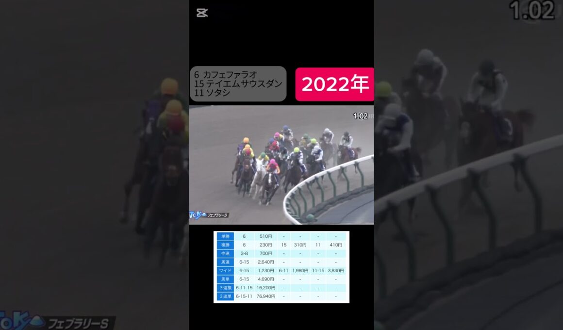 フェブラリーステークス2022 #競馬 #競馬予想 #jra #shorts #フェブラリーs #フェブラリーs2025 #フェブラリーステークス2025