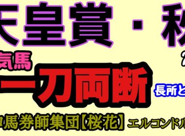 天皇賞秋2025人気馬一刀両断！！人気集める３歳馬2頭は古馬に通用するか！？メイショウタバルは逃げ切れるか！人気馬の長所と短所を一刀両断！