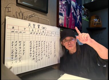 天皇賞 秋 2025 枠順確定‼︎