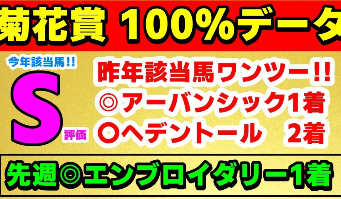 【菊花賞2025 】今週も自信あり！複勝率100％データ公開！
