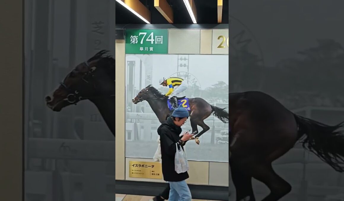 【中山競馬場の春といえば皐月賞！】#中山競馬場#競馬場#競馬#皐月賞 #有馬記念 #武豊#ディープインパクト #ギャンブル
