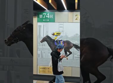 【中山競馬場の春といえば皐月賞！】#中山競馬場#競馬場#競馬#皐月賞 #有馬記念 #武豊#ディープインパクト #ギャンブル