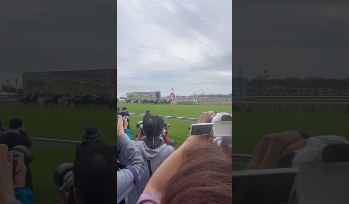 【オークス2025】スタート映像#競馬#オークス#優駿牝馬#カムニャック