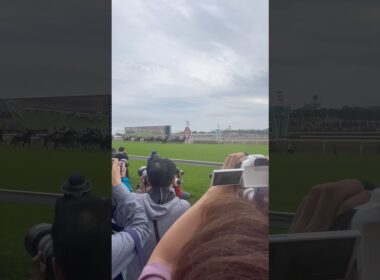 【オークス2025】スタート映像#競馬#オークス#優駿牝馬#カムニャック