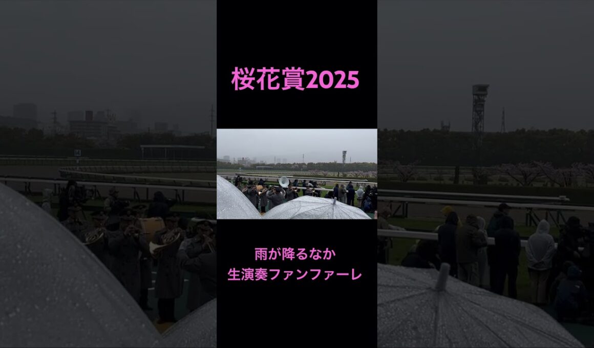 桜花賞2025 傘の花が咲く中での生演奏ファンファーレ #競馬 #shorts #桜花賞