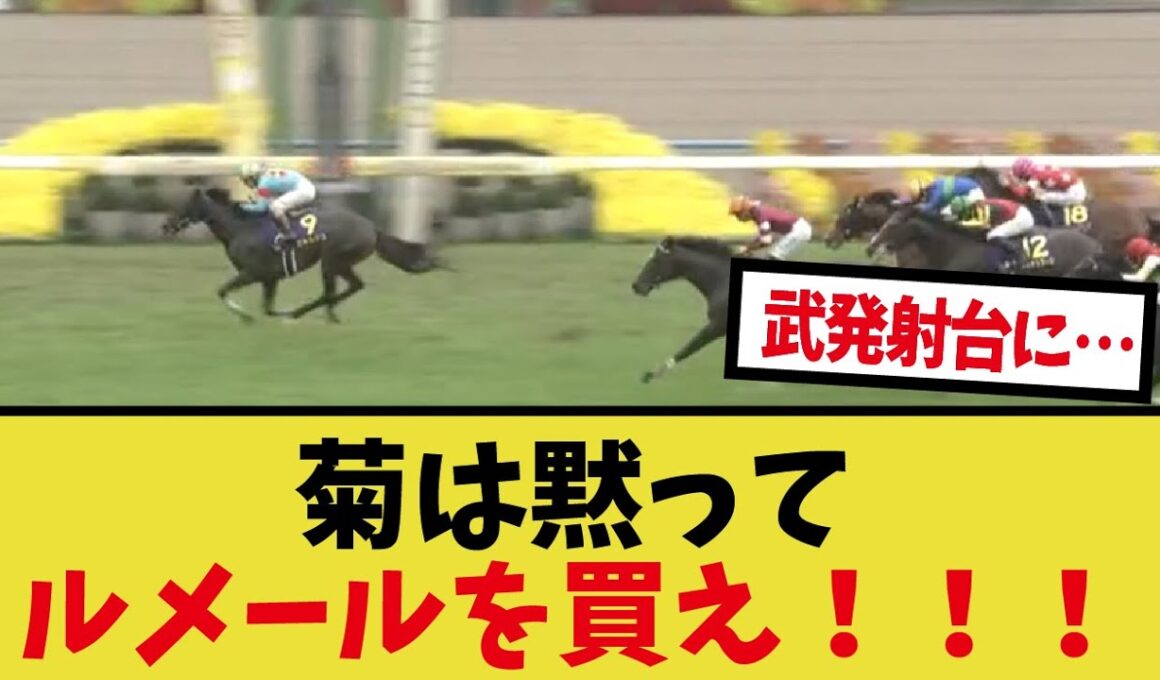 「エネルジコ菊花賞制覇！！」に対するみんなの反応集