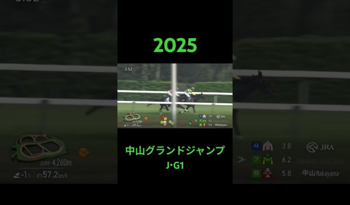中山グランドジャンプ　J・G1　#競馬 #中山グランドジャンプ #エコロデュエル #草野太郎 #g1 #馬 #jra