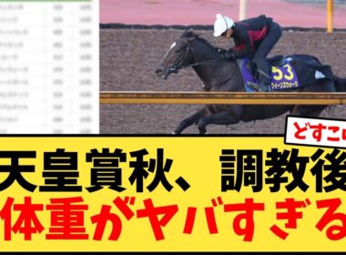 【天皇賞秋】秋天、調教後馬体重がヤバすぎるw【競馬反応集】