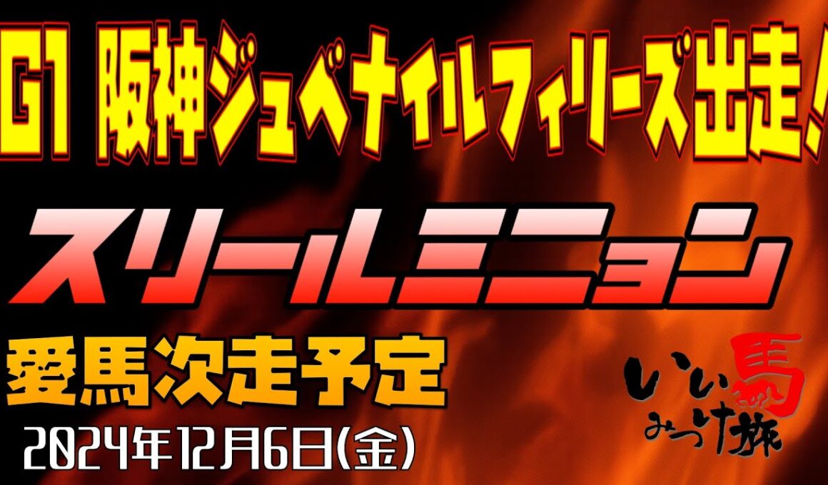 【緊急生配信・メンバー限定】G1‼️阪神ジュベナイルフィリーズ‼️スリールミニョン出走確定❗️