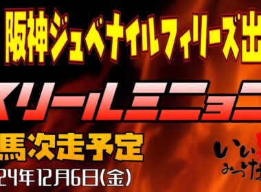【緊急生配信・メンバー限定】G1‼️阪神ジュベナイルフィリーズ‼️スリールミニョン出走確定❗️