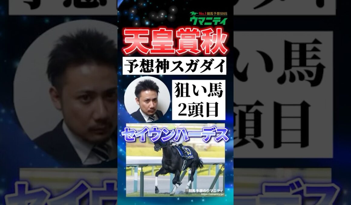 【天皇賞秋2025】予想神スガダイの注目馬②「セイウンハーデス」 #天皇賞秋 #セイウンハーデス #競馬予想 #shorts
