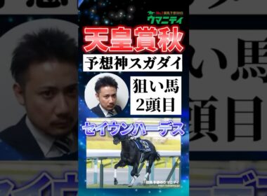 【天皇賞秋2025】予想神スガダイの注目馬②「セイウンハーデス」 #天皇賞秋 #セイウンハーデス #競馬予想 #shorts