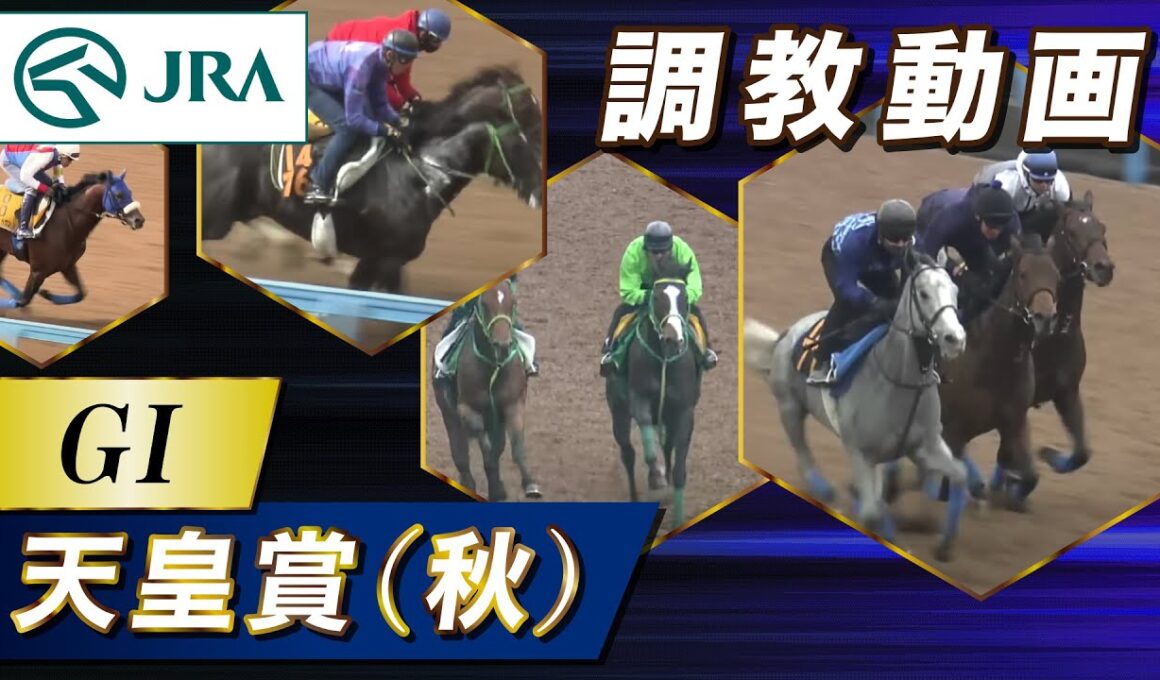 【調教動画】2025年 天皇賞（秋）｜JRA公式