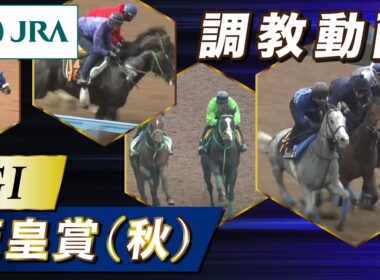 【調教動画】2025年 天皇賞（秋）｜JRA公式