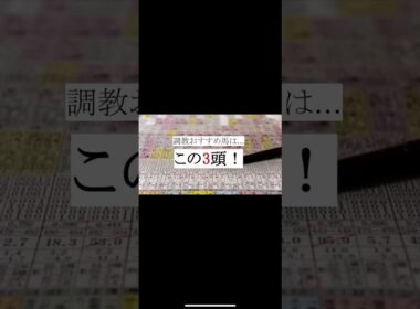 完敗です🙏...阪神ジュベナイルフィリーズ 追い切り おすすめ 2024 #京都競馬ライブ #阪神ジュベナイルフィリーズ